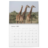 Calendrier Girafe 2027 (Jan 2027)