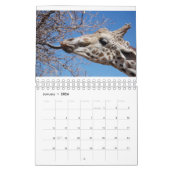 Calendrier Giraffe 2022 5,5 po x 7 po (Jan 2026)