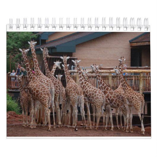 Calendrier Giraffe 2022 5,5 po x 7 po (Protection)