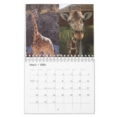 Calendrier Giraffe 2022 5,5 po x 7 po (Mar 2026)