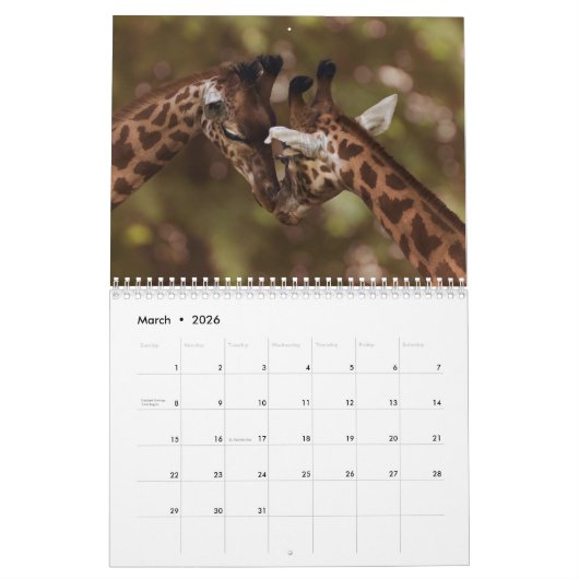 Calendrier Giraffe 2025 (Mar 2026)