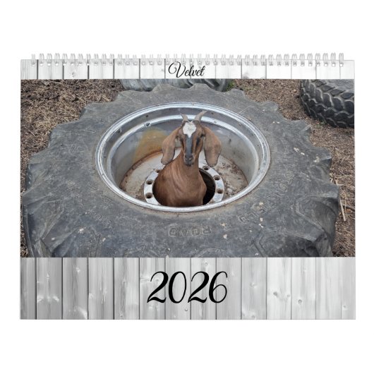 Calendrier Goats of 2026 calendar (Protection)