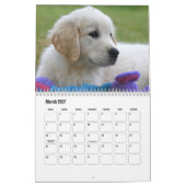 Calendrier Golden Retriever (Mar 2027)