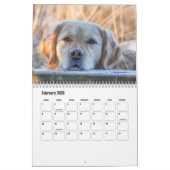 Calendrier Golden Retriever (Feb 2026)