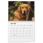 Calendrier Golden Retriever (Jan 2026)