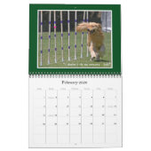 Calendrier Golden Retriever 2012 (Feb 2026)