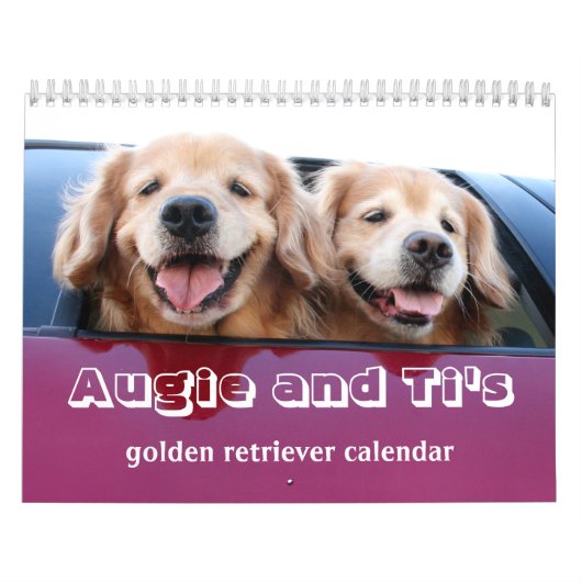 Calendrier Golden retriever 2017 d'Augie et de Ti (Protection)