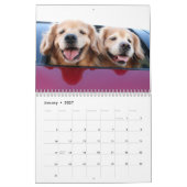 Calendrier Golden retriever 2017 d'Augie et de Ti (Jan 2027)