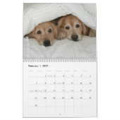 Calendrier Golden retriever 2017 d'Augie et de Ti (Feb 2027)