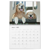 Calendrier Golden retriever 2017 d'Augie et de Ti (Mar 2027)