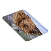 Calendrier Golden Retriever 2019 Avec Magnet Photo (Côté Droit)