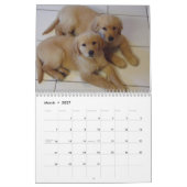 Calendrier Golden Retriever 2023 (Mar 2027)