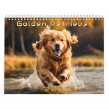 Calendrier Golden Retriever 2026
