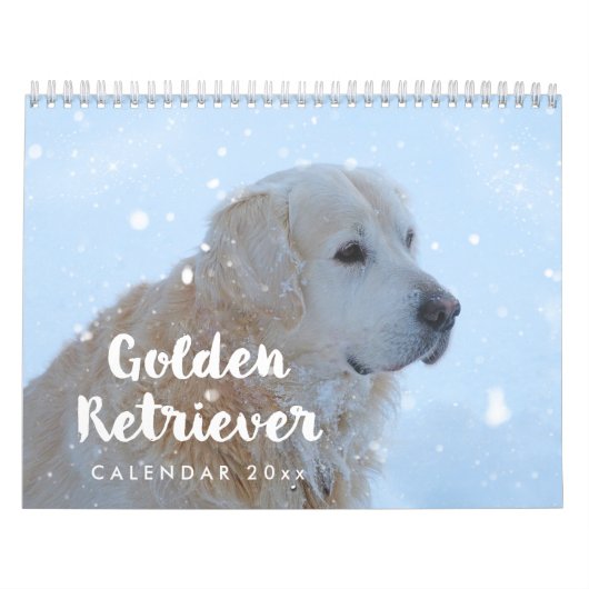 Calendrier Golden Retriever 2026 mensuel (Protection)