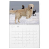 Calendrier Golden Retriever 2026 mensuel (Jan 2026)