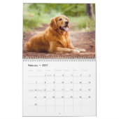 Calendrier Golden retriever 2027 (Feb 2027)