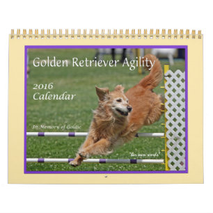 Calendrier Golden Retriever Agilité