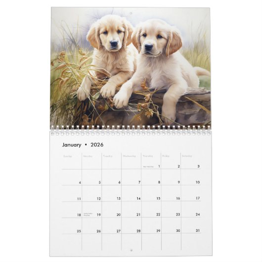Calendrier Golden Retrivers, n'importe quelle anné (Jan 2026)