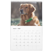 Calendrier Golden Retrivers Pour Chaque Saison (Mar 2027)