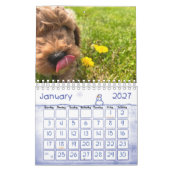 Calendrier Goldendoodle Puppy 2024 (Jan 2027)