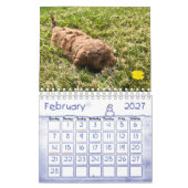Calendrier Goldendoodle Puppy 2024 (Feb 2027)