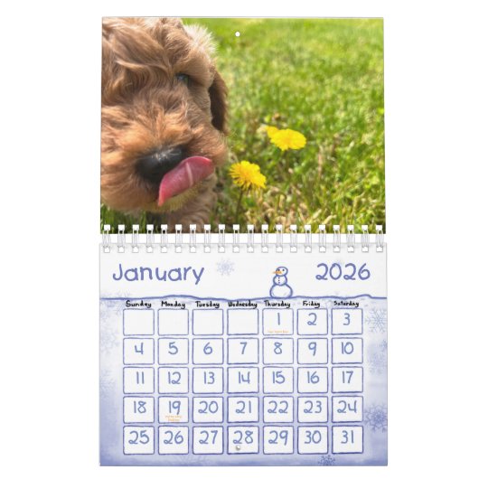 Calendrier Goldendoodle Puppy 2024 (Jan 2026)