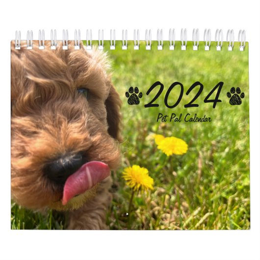 Calendrier Goldendoodle Puppy 2024 (Protection)