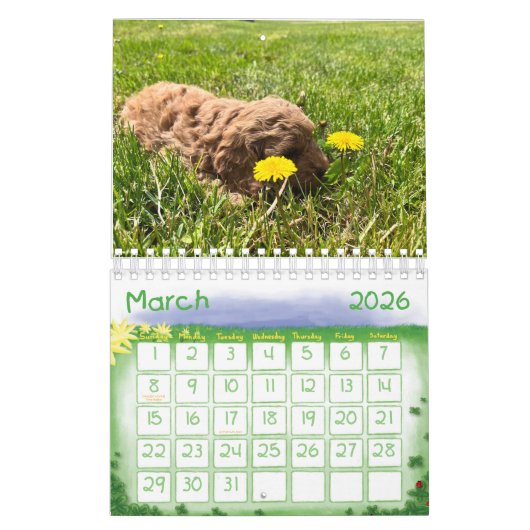 Calendrier Goldendoodle Puppy 2024 (Mar 2026)