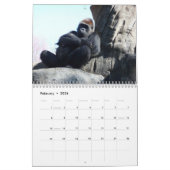 Calendrier Gorilla 2019 (Feb 2026)