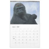 Calendrier Gorilla 2026 (Mar 2027)