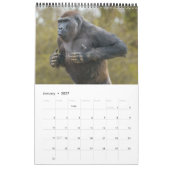 Calendrier Gorilla 2026 (Jan 2027)