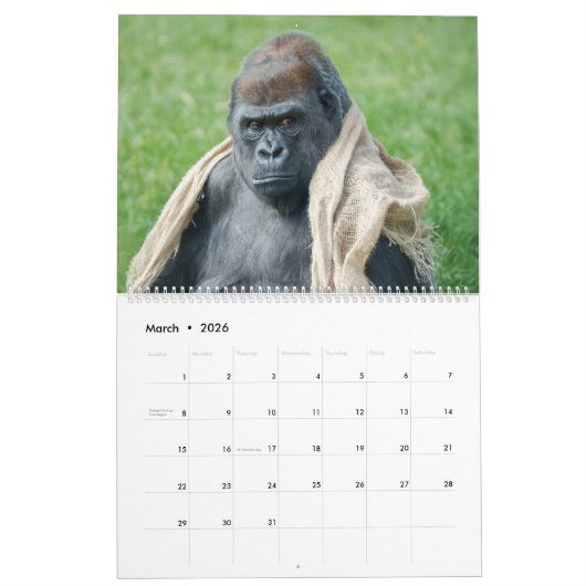 Calendrier Gorilla 2026 (Mar 2026)