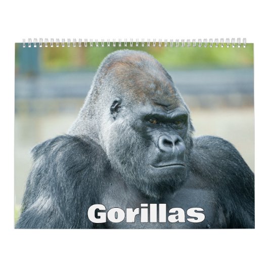 Calendrier Gorilla 2026 (Protection)