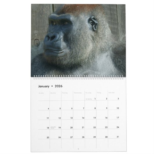 Calendrier Gorilla 2026 (Jan 2026)