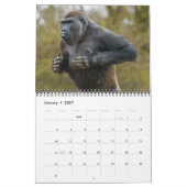 Calendrier Gorilla 2026 (Jan 2027)