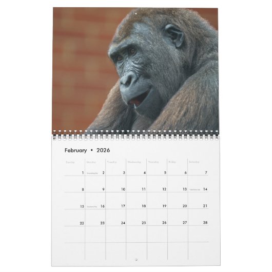 Calendrier Gorilla 2026 (Feb 2026)