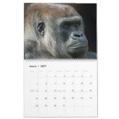 Calendrier Gorilla 2026 (Mar 2027)