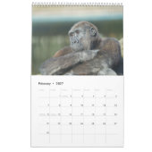 Calendrier Gorilla 2026 (Feb 2027)