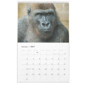 Calendrier Gorilla 2026 (Jan 2027)