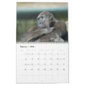 Calendrier Gorilla 2026 (Feb 2026)
