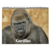 Calendrier Gorilla 2026 (Protection)