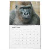 Calendrier Gorilla 2026 (Jan 2026)