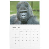 Calendrier Gorille 2027 (Feb 2027)
