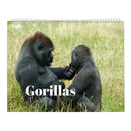 Calendrier Gorille 2027 (Protection)