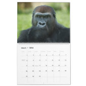 Calendrier Gorille Blackback 2026 (Mar 2026)