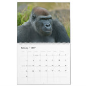 Calendrier Gorille Blackback 2026 (Feb 2027)