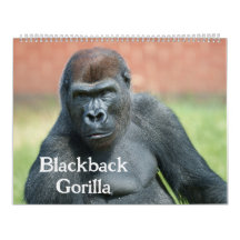 Gorille Blackback 2026