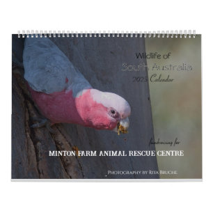 Calendrier grand calender 24