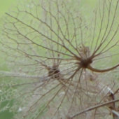 Calendrier Grand Canyon