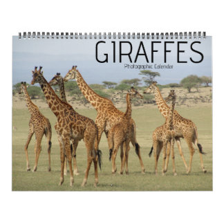 calendrier grand format safari girafe 2027